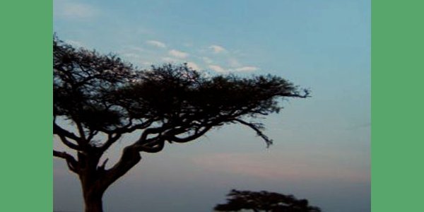 Image:Faune et flore du Rwanda