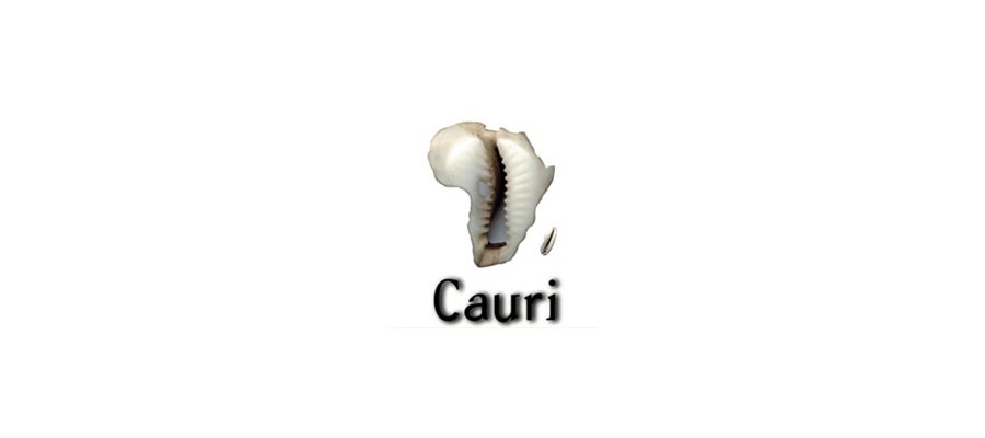 Image:Sosthène Munyemana vs Cauri