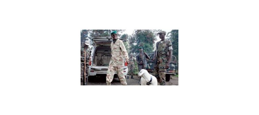 Image:Laurent Nkunda : le prisonnier des Grands Lacs
