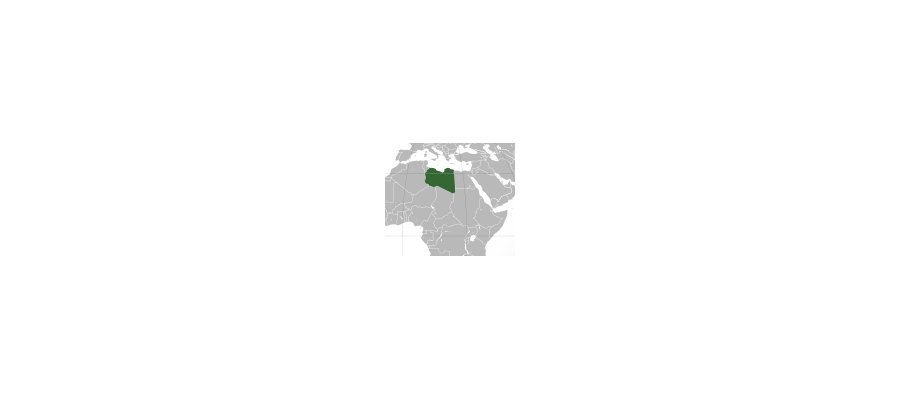 Image:Le Sénégal face à la révolution libyenne