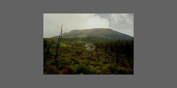Image:Parcs nationaux congolais (RDC)